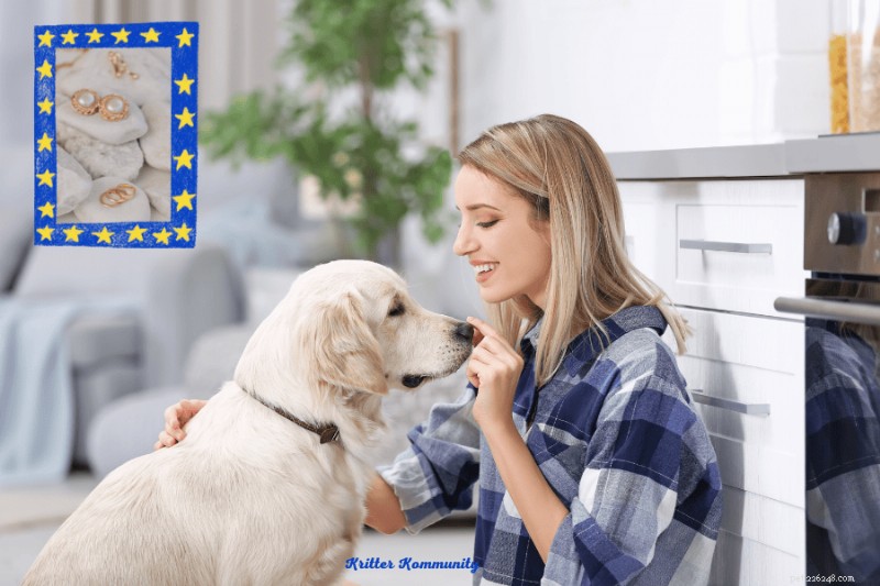Top Thoughtful Gift Ideas for Golden Retriever Owners