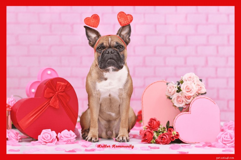 Plan a Memorable Valentine’s Day Dog Party: DIY Treats, Activities & Party Tips