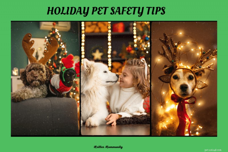 Protect Your Pets This Holiday: Avoid Toxic Trees & Tinsel Hazards