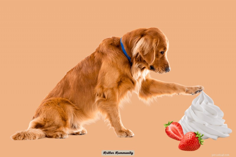 Is Whipped Cream Safe for Dogs? A Vet‑Approved Guide