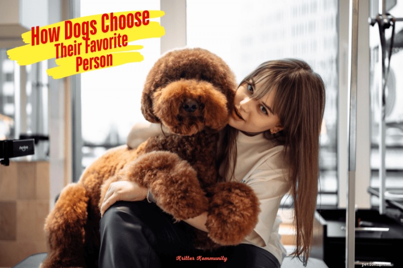 Why Dogs Favor Certain People: Understanding Canine Attachment
