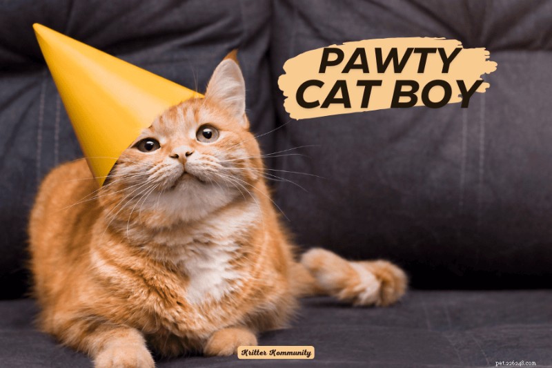 Ultimate Guide to Planning a Cat-Friendly Party: Tips & Ideas for a Pawsitive Celebration