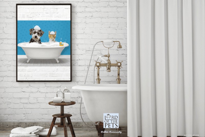 Design a Cozy, Functional Pet Room with Custom Accessories – Expert Guide