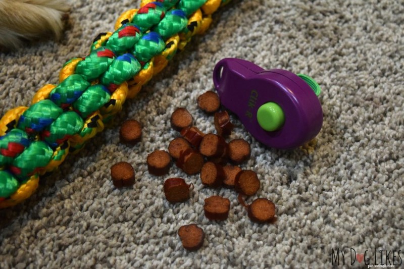 How to Train Your Dog to Pick Up and Drop Items – A Simple Step-by-Step Guide