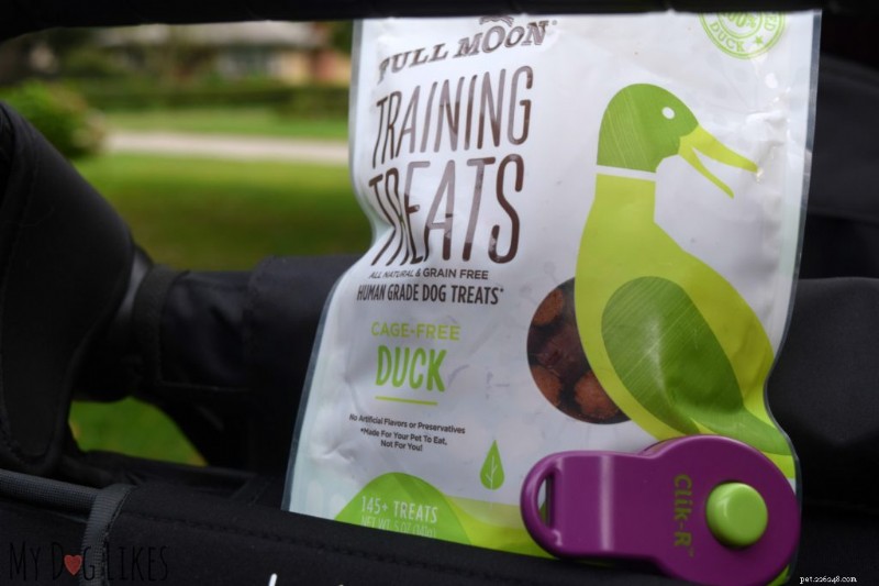 Stroller Walks with Your Baby and Dog: Easy Training Tips