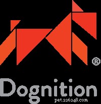 Inside Dognition: How Our Membership Unlocks Your Dog’s Brain
