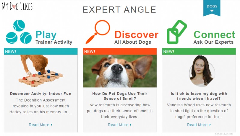 Inside Dognition: How Our Membership Unlocks Your Dog’s Brain