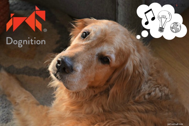 Dognition: Unlocking Your Dog s Mind for a Stronger Bond