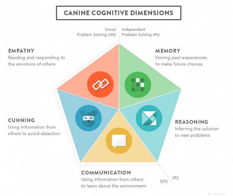 Dognition: Unlocking Your Dog s Mind for a Stronger Bond
