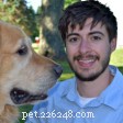Master the Place Command: Train Your Dog to Sit, Stay, and Settle Calmly