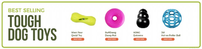 Top Dental Care Dog Food for Strong, Healthy Teeth