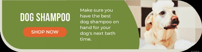 Top Dog Shampoos: The Ultimate Guide to Healthy Skin & Shiny Coat