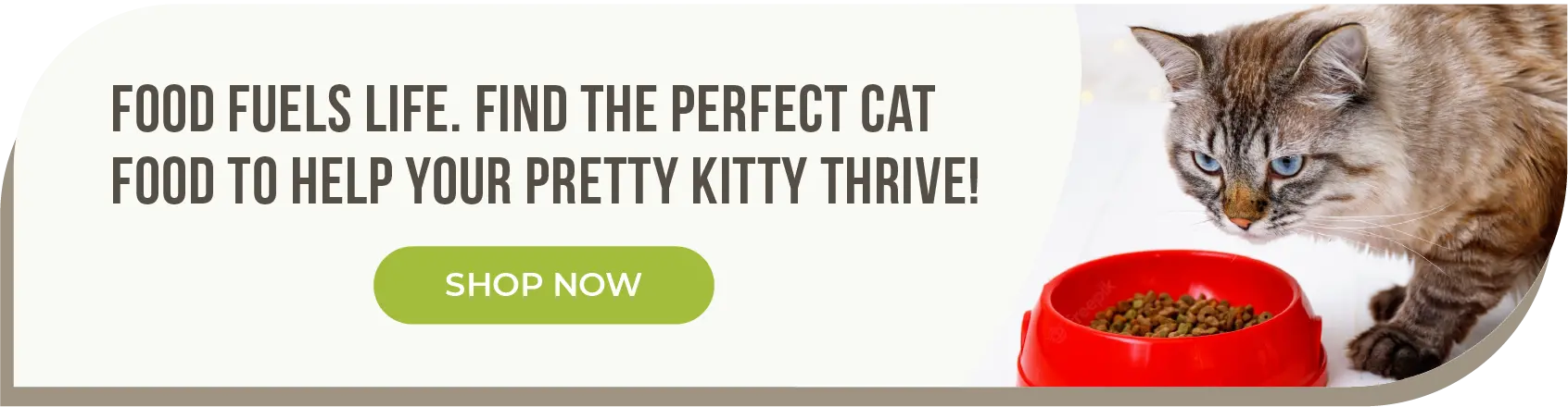 Eliminate Cat Fur Mats: Simple Detangling & Prevention Guide