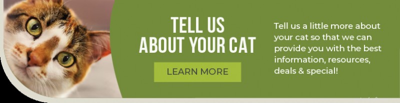 Expert Guide to Cat Hairballs: Prevention, Treatments & Risks