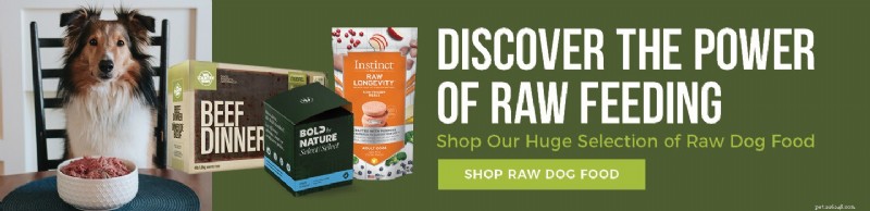 Top Raw Dog Food in Canada: A Trusted Guide for Pet Parents