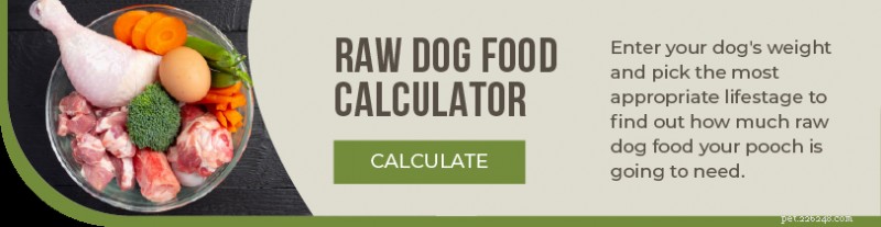 Top Raw Dog Food in Canada: A Trusted Guide for Pet Parents