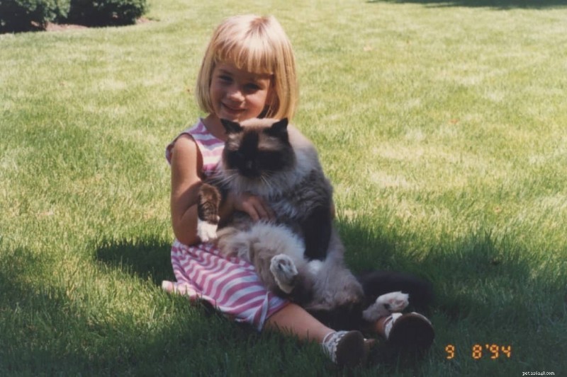 18 Key Differences Between Ragdoll and Maine Coon Cats – What Sets Them Apart