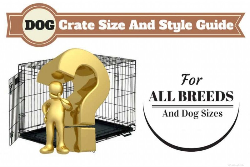 How to Choose the Right Dog Crate Size & Type: A Complete Expert Guide