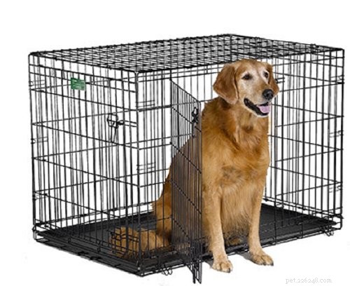 How to Choose the Right Dog Crate Size & Type: A Complete Expert Guide