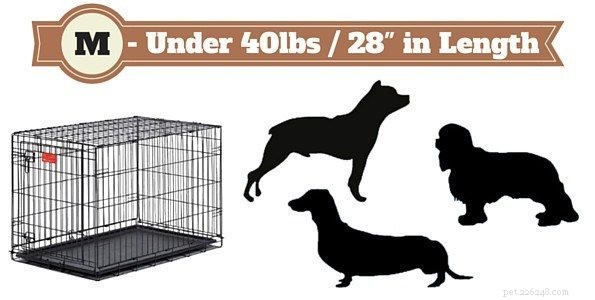 How to Choose the Right Dog Crate Size & Type: A Complete Expert Guide