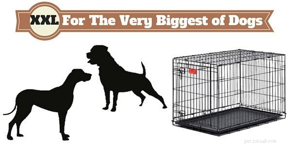 How to Choose the Right Dog Crate Size & Type: A Complete Expert Guide