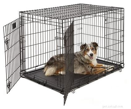 How to Choose the Right Dog Crate Size & Type: A Complete Expert Guide
