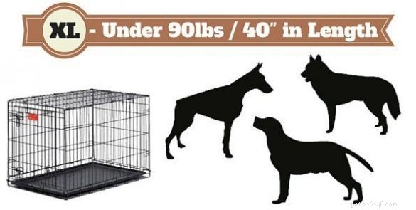 How to Choose the Right Dog Crate Size & Type: A Complete Expert Guide