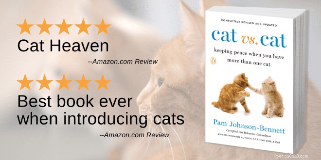 The Case Against Scruffing: Humane Alternatives for Cat Handling
