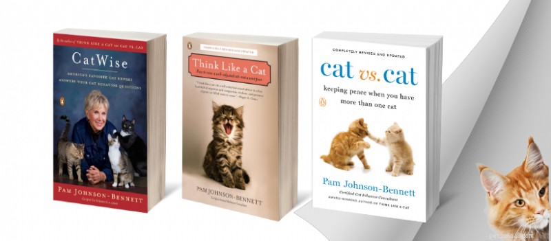 Teach Your Cat to Come When Called: Proven Training Techniques