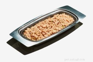 Top 10 Affordable Cat Foods: Quality and Value for Your Pet