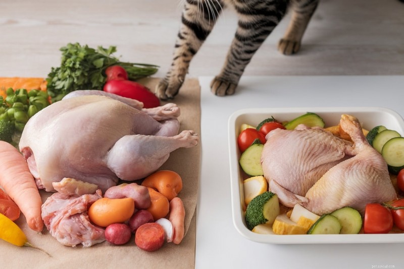 Raw vs. Cooked Cat Food: Which Diet Is Safer? Expert Advice for Pet Owners