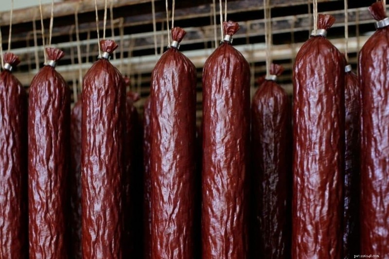 Is Bologna Safe for Cats? Expert Guidance on Feeding Your Feline
