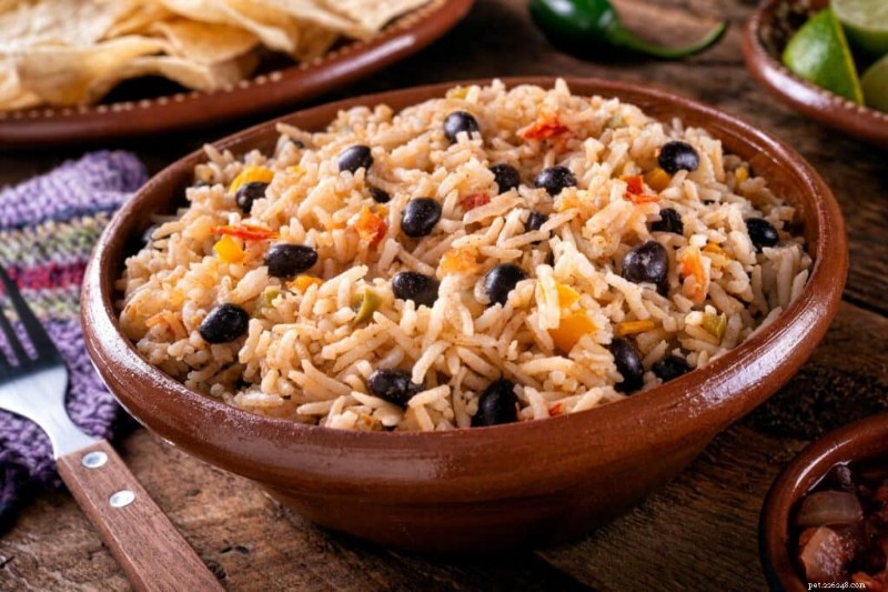 Can Cats Safely Eat Black Beans? Expert Insights on Feline Nutrition
