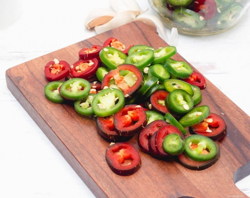 Are Jalapeños Safe for Cats? What You Need to Know