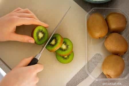 Can Cats Eat Kiwi? Safe Fruit Treats for Your Feline Friend