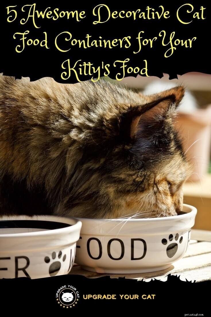 Top 5 Stylish Cat Food Containers for Fresh, Easy Storage