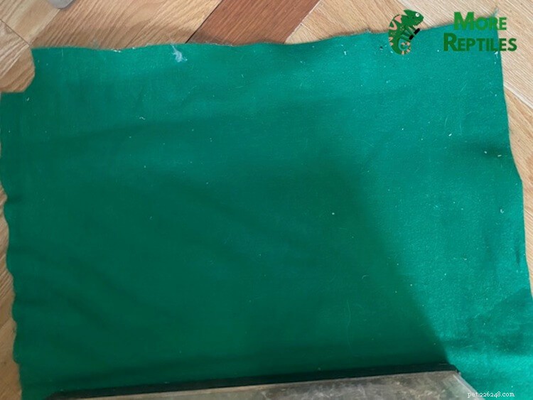 Choosing the Right Substrate for Crested Geckos: Expert Tips & Common Pitfalls