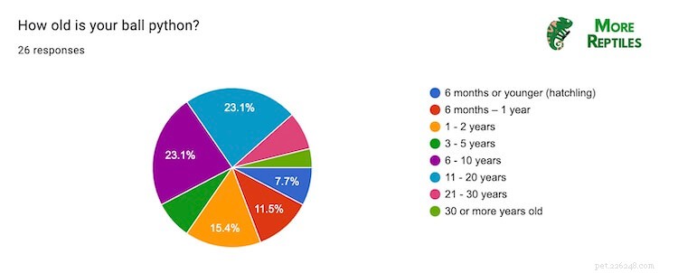Determine Your Ball Python s Age: 5 Proven Methods