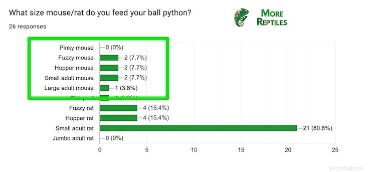Optimal Mouse Size for Ball Pythons: Safe Feeding Guidelines