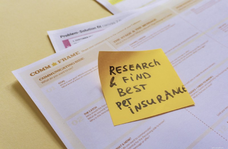 Pet Insurance Unveiled: A Complete Guide for Smart, Responsible Owners