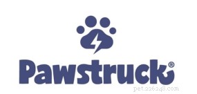 Top 7 Eco-Friendly Pet Treat Brands for a Greener Future