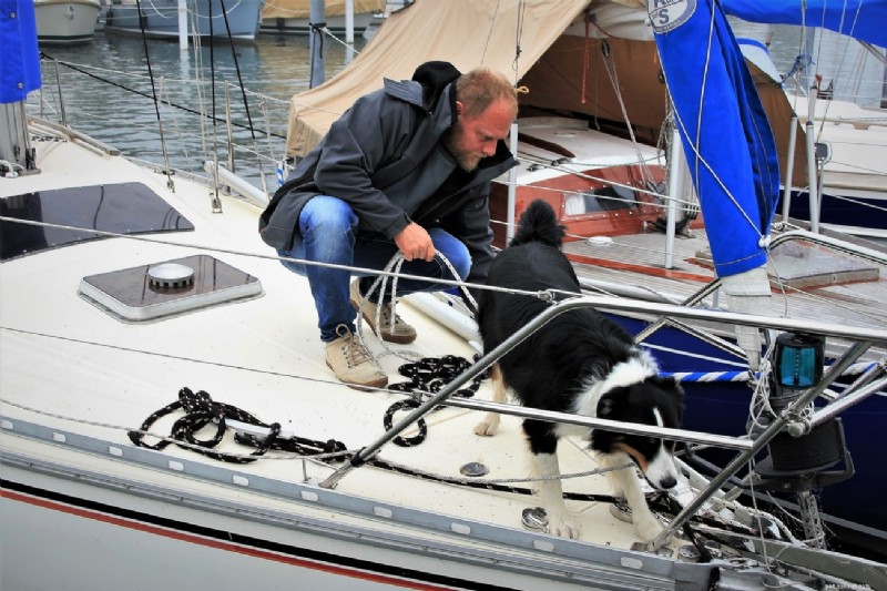 Dog Boarding Made Easy: Expert Tips for Safe, Stress-Free Stays