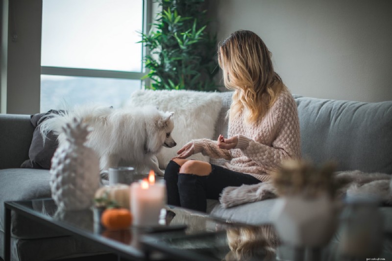 Renting with Pets: Essential Tips for a Smooth, Pet-Friendly Lease