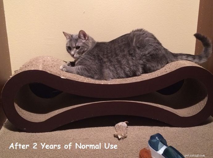 PetFusion Ultimate Cat Scratcher Lounge: Expert Review & Buying Guide