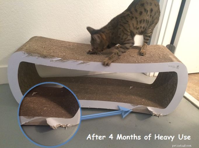 PetFusion Jumbo Cat Scratcher Lounge Review – Top Choice for Multi‑Cat Homes