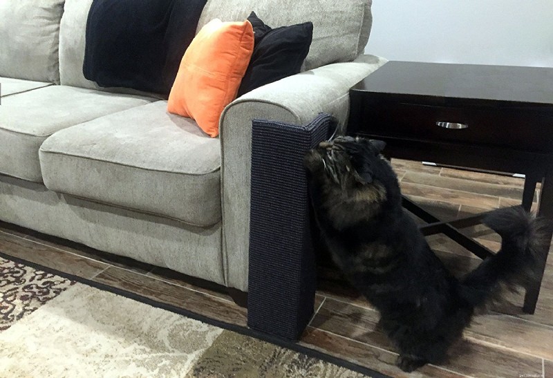 Sofa‑Scratcher Squared Post: Trusted Review for Cat‑Friendly Furniture Protection