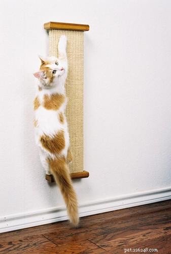 SmartCat Bootsie Combination Scratcher Review: Durable, Versatile & Value‑Driven