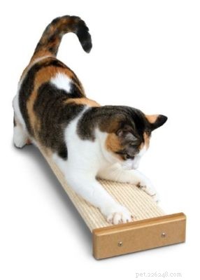 SmartCat Bootsie Combination Scratcher Review: Durable, Versatile & Value‑Driven