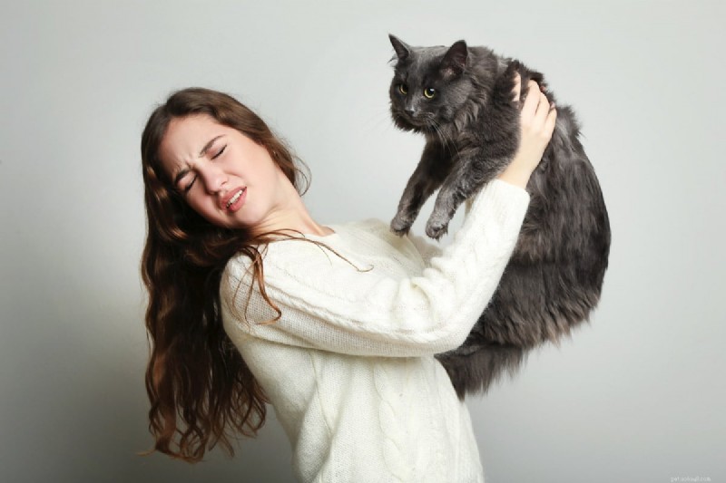 Understanding Why Cats Chase Their Tails: 4 Insightful Reasons Beyond Play