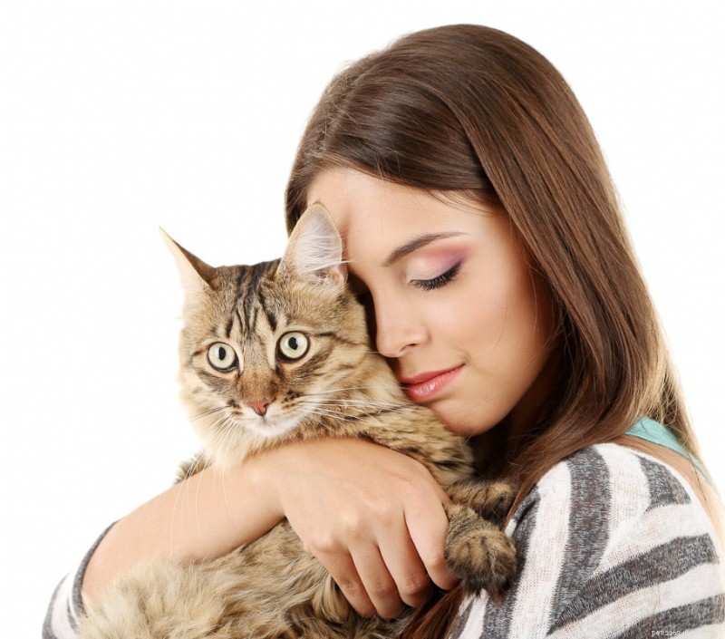 Understanding Why Cats Chase Their Tails: 4 Insightful Reasons Beyond Play